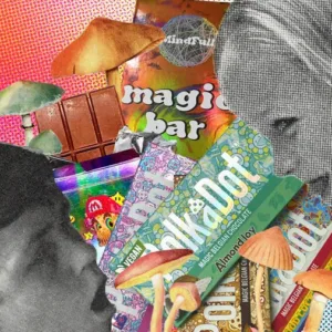 magic mushroom chocolate bars