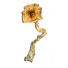 buy b+ mushrooms​ online at psychedelic dispensary online shop. we provide discreet shipping to all locations...