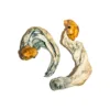 buy ecuadorian mushrooms​ online at psychedelic dispensary online shop. we provide discreet shipping to all locations...