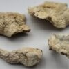 Albino E.T. Magic Mushroom Strain. Phone home to another galaxy. The Albino E.T. magic mushroom strain is a rare, cosmic variety prized for its uplifting...