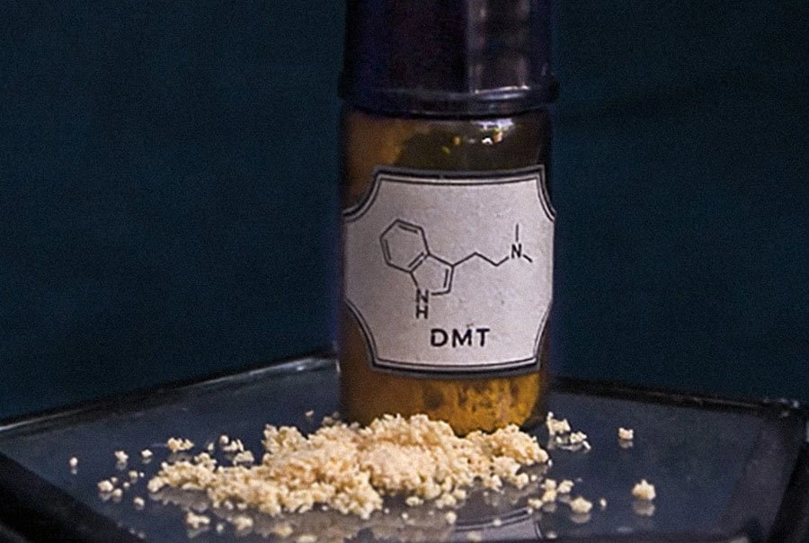 dmt powder