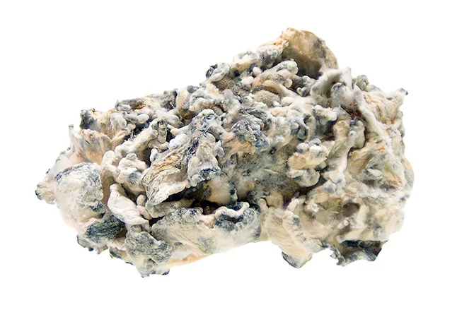 Enigma-magic-mushrooms-online-Canada-psilocybin-3-Amigos-health.jpeg.webp Enigma Mushrooms – a rare and potent strain known for its intense effects and profound, mind-altering experiences. Ideal for those seeking a unique and...