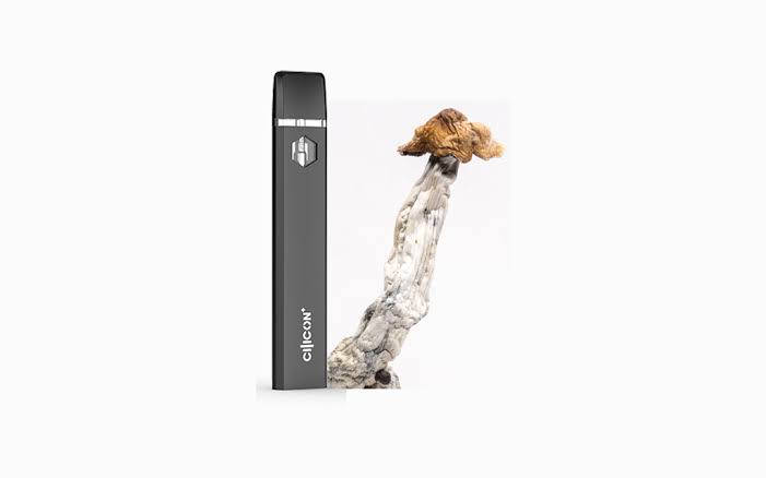 mushroom vape​s